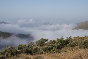 la haciënda de la miel